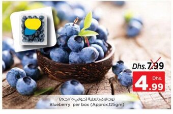Nesto Blueberry Per Box (Approx.125gm) offer