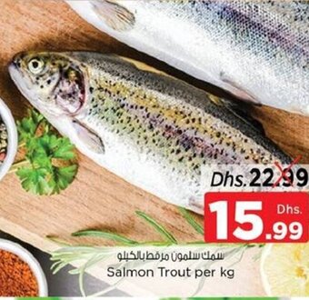 Nesto Salmon Trout per kg offer