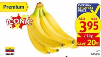 Viva Banana offer