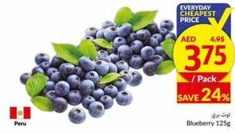 Viva Blueberry offer