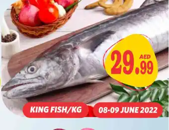 Haram Al Madeena King Fish /KG offer