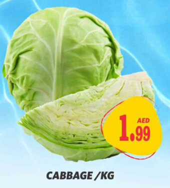 Haram Al Madeena Cabbage / Kg offer