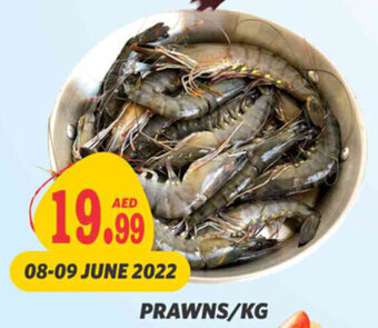 Haram Al Madeena Prawns / Kg offer