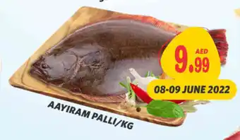 Haram Al Madeena Aayiram Palli / Kg offer