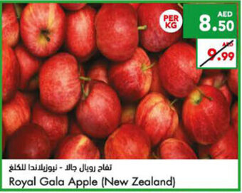 Almaya supermarket Royal Gala Apple (New Zealand) offer