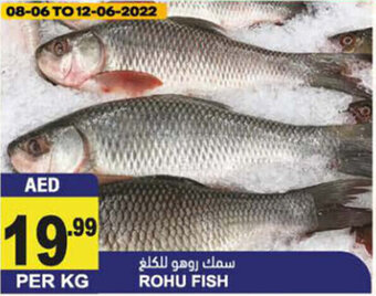 Almaya supermarket Rohu Fish offer