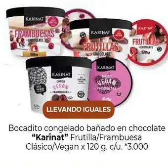 La Anonima Karinat Bocadito Congelado Bañado En Chocoalte Frutilla Frambuesa Clásico Vegan oferta