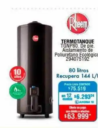 Perozzi Termotanque Rheem oferta