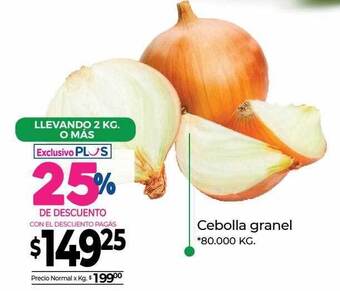 La Anonima Cebolla Granel oferta