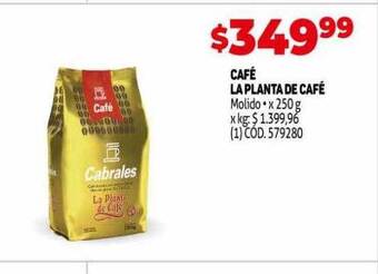 Makro Café La Planta De Café oferta