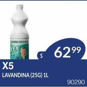 Masivos X5 Lavandina oferta