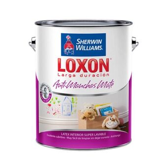 Pintecord Loxon ld latex anti manchas interior blanco oferta