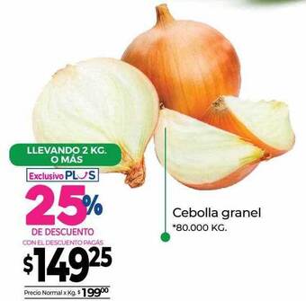 La Anonima Cebolla Granel oferta