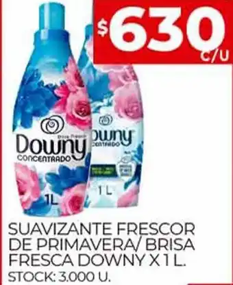 Supermercados DIA Downy Suavizante Frescor De Primavera/Brisa Fresca x 1 L. oferta