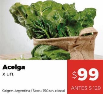 Disco Acelga x un oferta