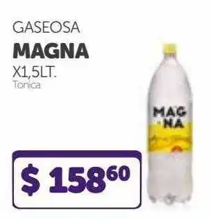 La Gallega Supermercados Gaseosa Magna X1.5lt. oferta