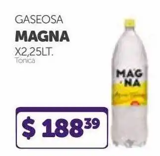 La Gallega Supermercados Gaseosa Magna Tonica X2.25lt. oferta