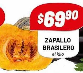 Almacor Zapallo Brasilero oferta