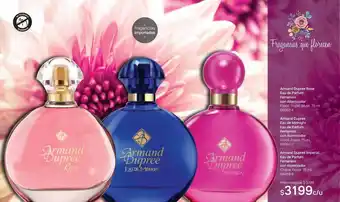 Tupperware Armand Dupree Rose Eau De Parfum Femenino Con Atomizador Armand Dupree Eau De Midnight Eau De Parfum Femenino Con Atomizador oferta