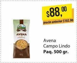 Supermercados Damesco Avena Campo Lindo oferta