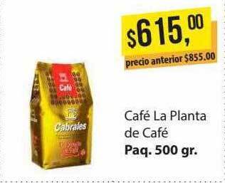 Supermercados Damesco Café La Planta De Café oferta
