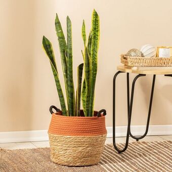 Arredo Contenedor bicolor red mediano oferta