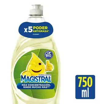 Lavavajillas pureza activa magistral bot 750 ml