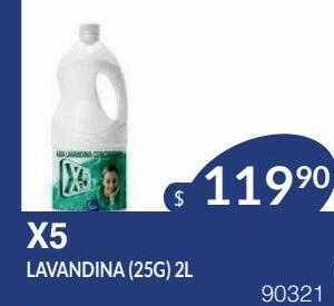 Masivos X5 Lavandina oferta
