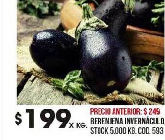 Coto Berenjena Invernáculo oferta