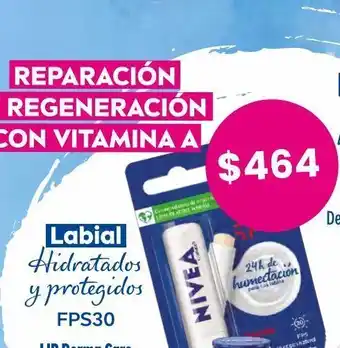 Labial nivea