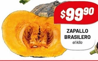 Almacor Zapallo Brasilero oferta