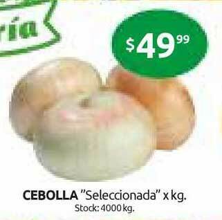 Cordiez Cebolla oferta