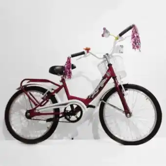Bicicleta jvk rodado 20 flower loreley
