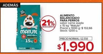 Carrefour Maxi Alimento balanceado para perros oferta