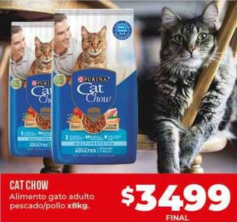 Supermayorista Vital Cat chow alimento gato adulto pescado pollo oferta