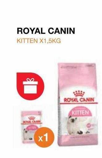 Puppis Royal canin kitten oferta