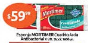 Cordiez Esponja mortimer cuadriculada antibacterial oferta