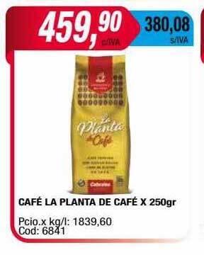 Maxiconsumo Café la planta de café oferta