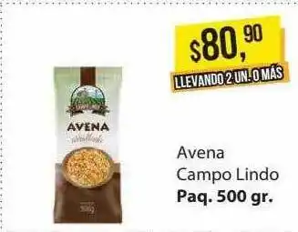 Supermercados Damesco Avena campo lindo oferta