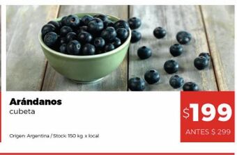 Disco Arándanos cubeta oferta