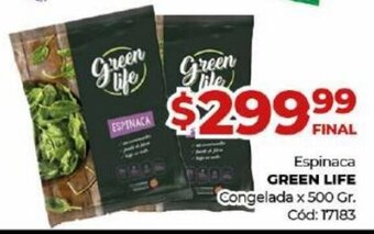 Diarco Green Life Espinaca Congelada x 500 Gr. oferta
