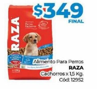 Diarco RAZA alimento para perros oferta