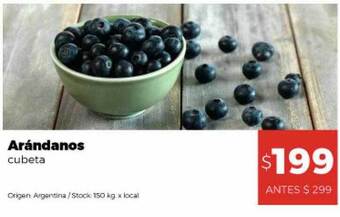 Disco Arándanos cubeta oferta
