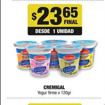 Maxi Ofertas Cremigal Yogur Firme x 120gr oferta