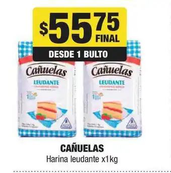 Maxi Ofertas Cañuelas Harina Leudante x 1kg oferta