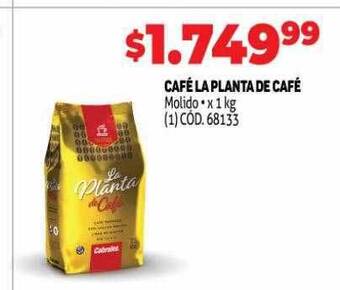 Makro Café la planta de café oferta