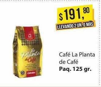 Supermercados Damesco Café la planta de café oferta