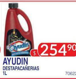 Masivos Ayudin Destapacañerias 1L oferta