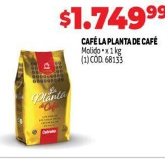 Makro Café La Planta de café oferta