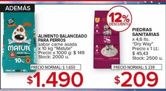Carrefour Maxi Alimento balanceado para perros oferta